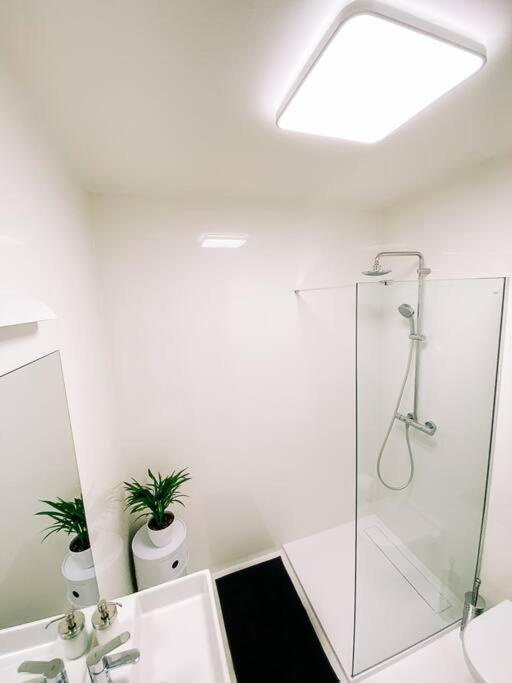 New Studio In Quiet Part Of The City Center Bratislava Esterno foto